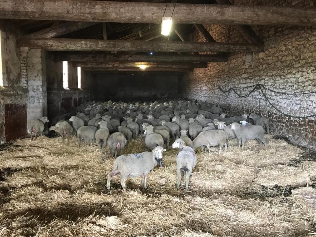 Вилла Studio A La Ferme Арль Экстерьер фото