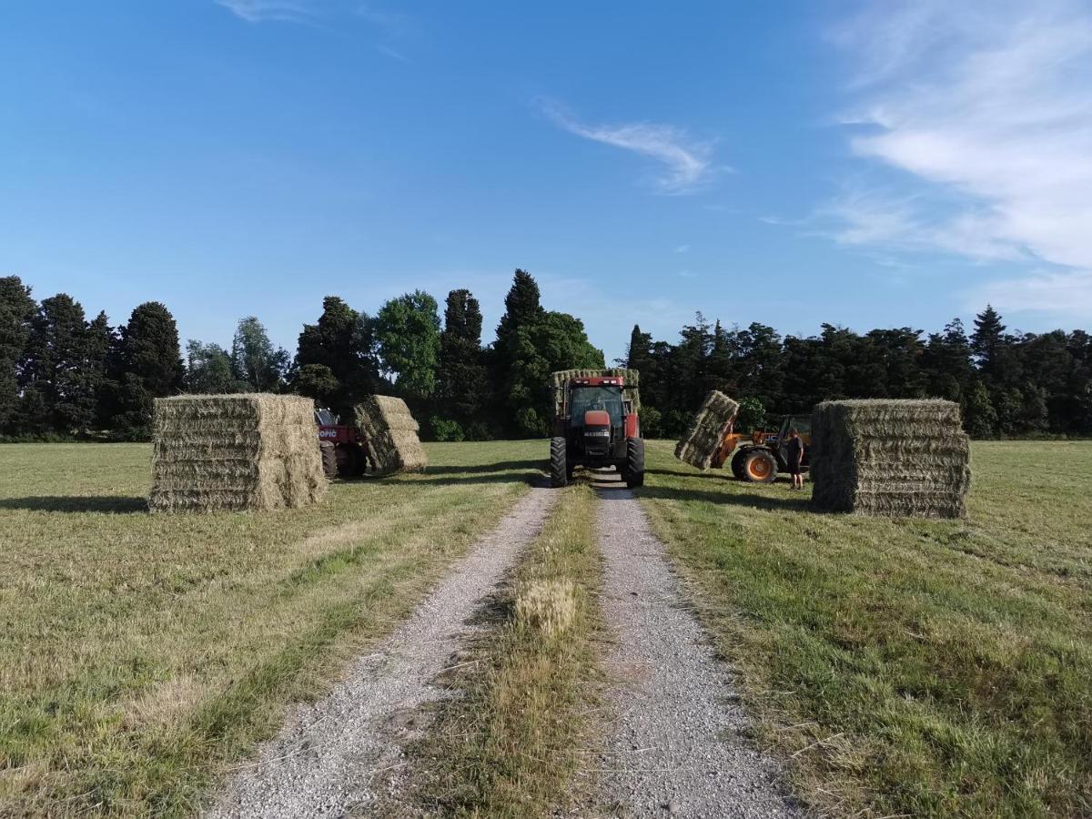 Вилла Studio A La Ferme Арль Экстерьер фото